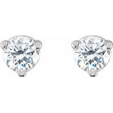 14K White Gold 1/5 CTW Natural Diamond Friction Post Earrings