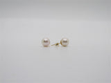 Pearl Earring