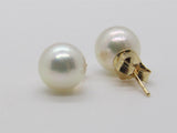 Pearl Earring