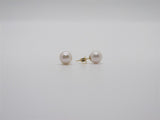 Pearl Earring