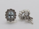 Colored Stone Earring