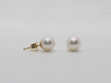 Pearl Earring