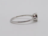 Colored Stone Rings  -  Women'