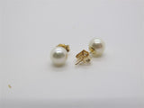 Pearl Earring