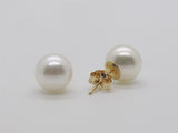 Pearl Earring