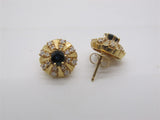 Colored Stone Earring