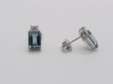 Silver Earring