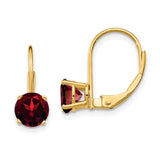 14k 6mm Garnet Leverback Earrings