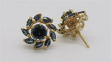 Colored Stone Earring