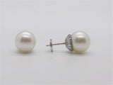 Pearl Earring