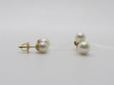 Pearl Earring