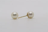 Pearl Earring
