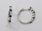 Colored Stone Earring